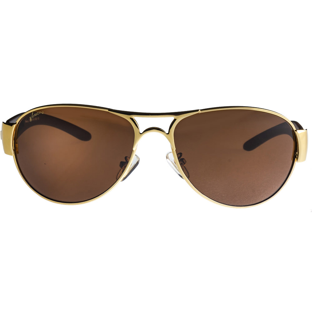 Buy Velocity VC 8233 Gold Brown Aviator Shape Sunglasses at Lenskart.