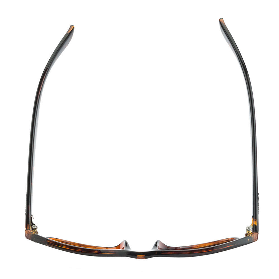 Polaroid Light Brown Full Rim Square right side