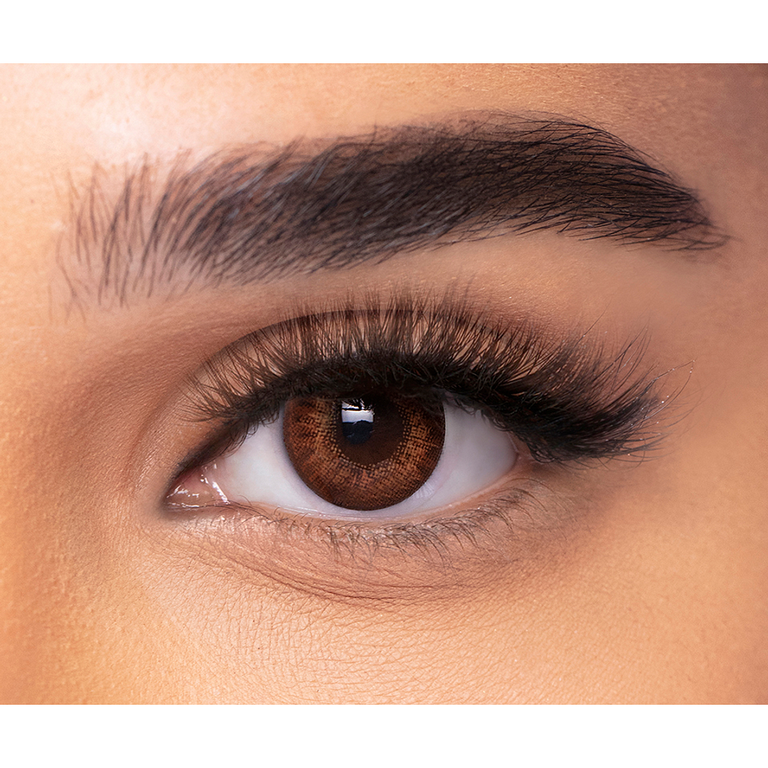 Alcon Freshlook Alcon Freshlook Colorblends Brown Color Contact Lenses 2 Lens Box left side