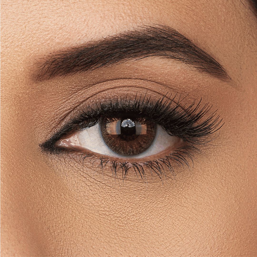 Aquacolor Aquacolor Dusky Brown Zero Power Dailies left side