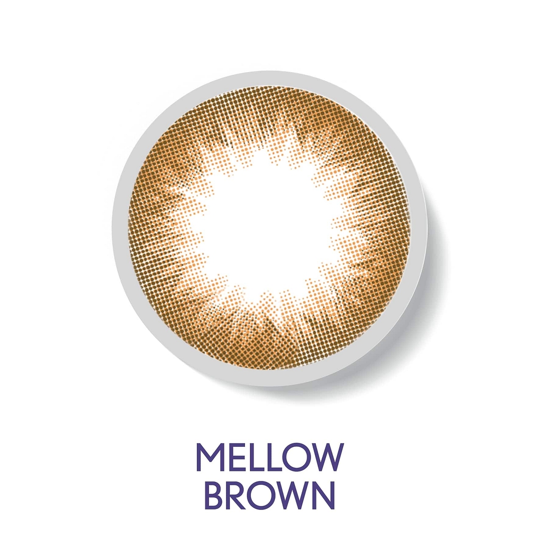 Bausch & Lomb B L Lacelle Mellow Brown Daily right side