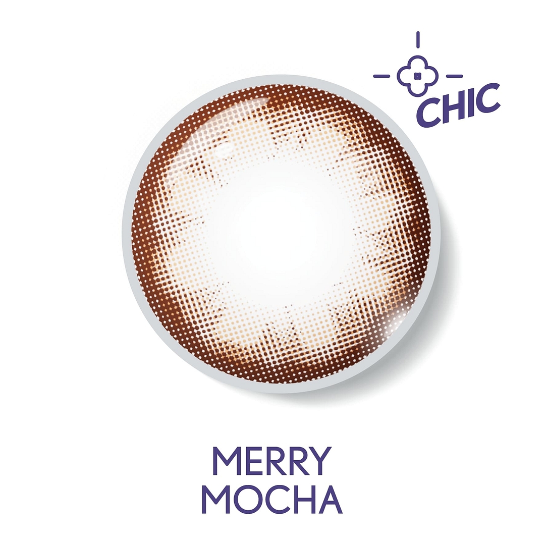 Bausch & Lomb B L Lacelle Merry Mocha Daily right side