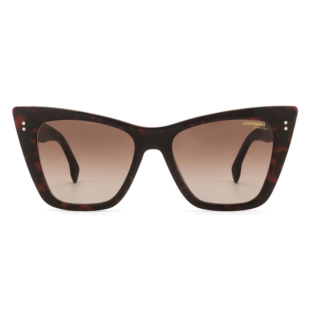 Buy Carrera 1009 S Tortoise White Line Black Brown Gradient  display picture 3