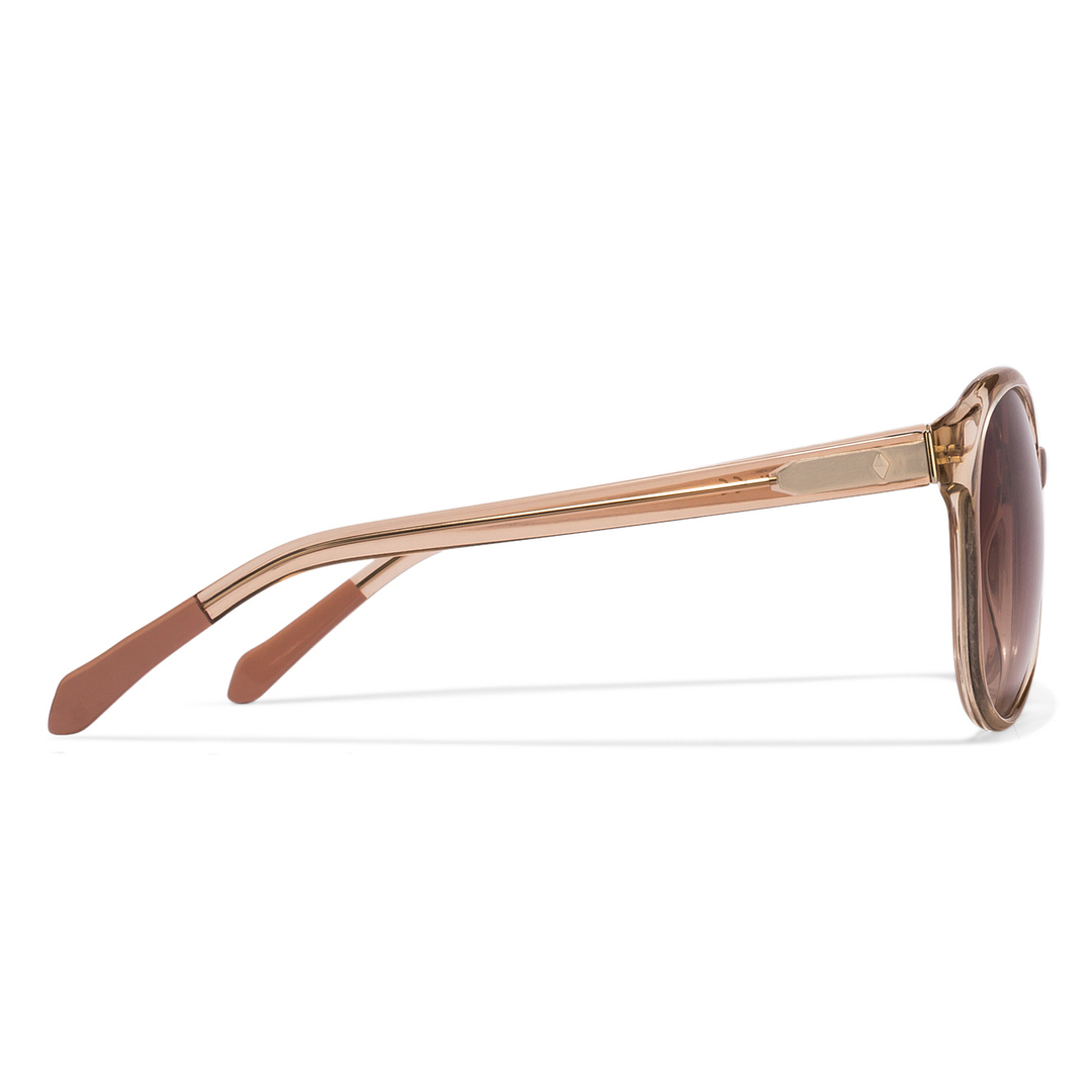 Fossil Brown Transparent Full Rim Round right side