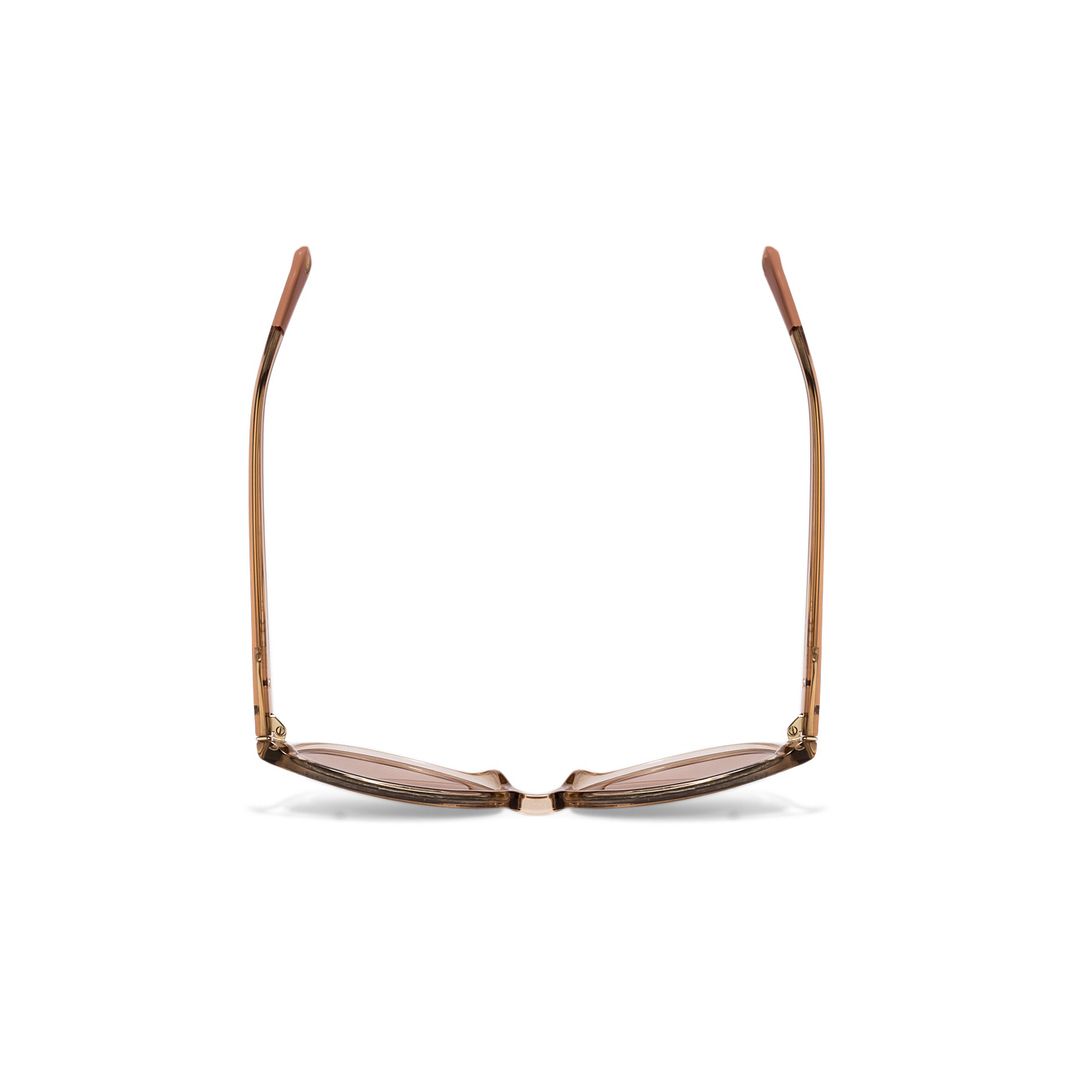 Fossil Brown Transparent Full Rim Round right side