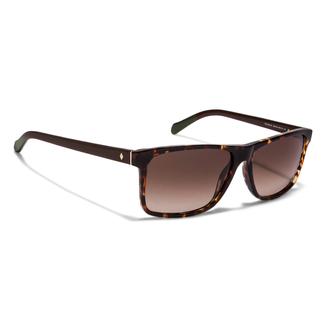 Fossil Tortoise Full Rim Rectangle left side