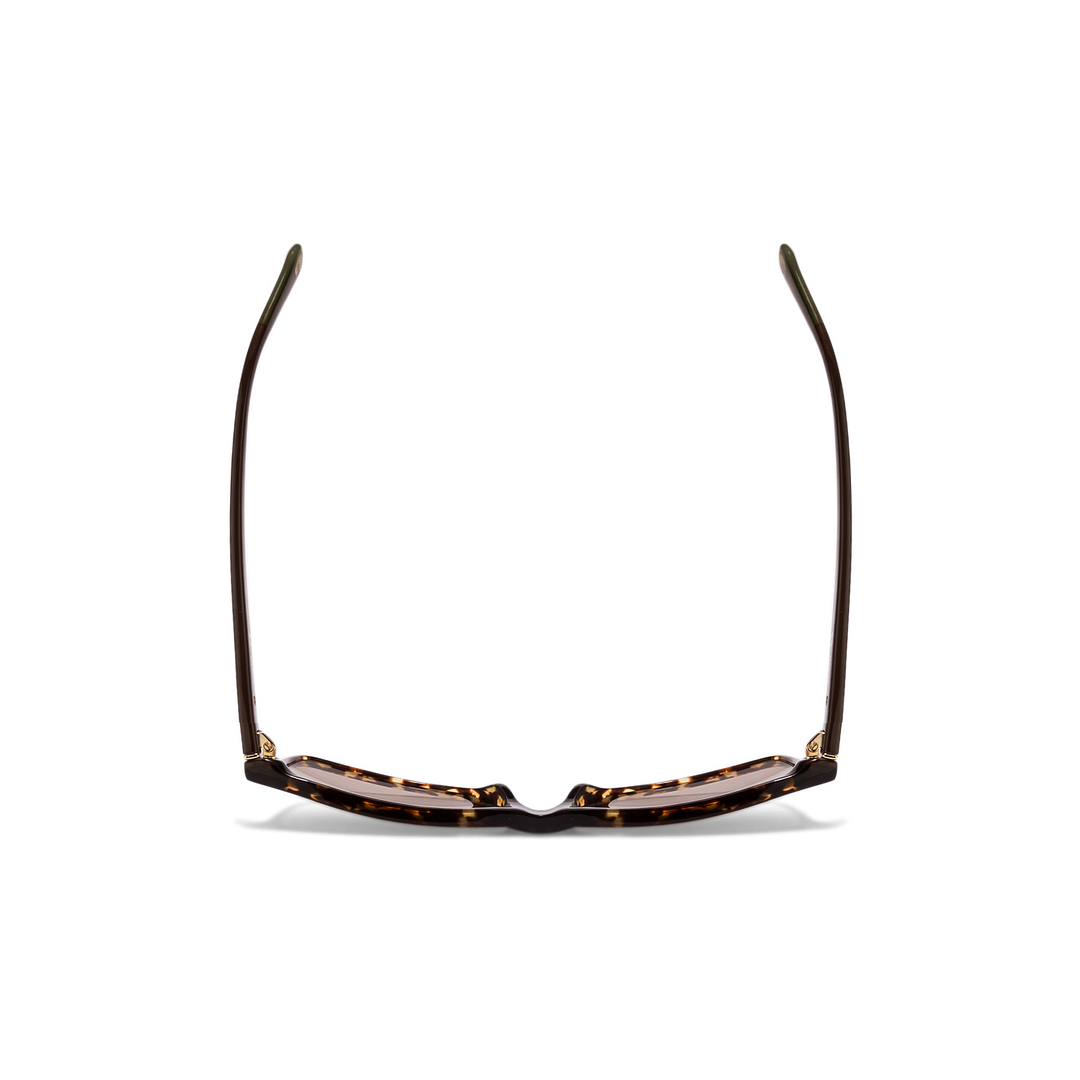 Fossil Tortoise Full Rim Rectangle right side