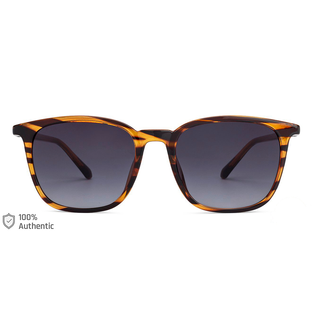 Fossil Tortoise Full Rim Square left side