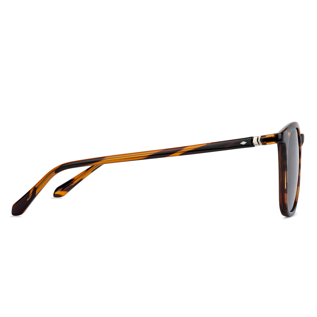 Fossil Tortoise Full Rim Square right side