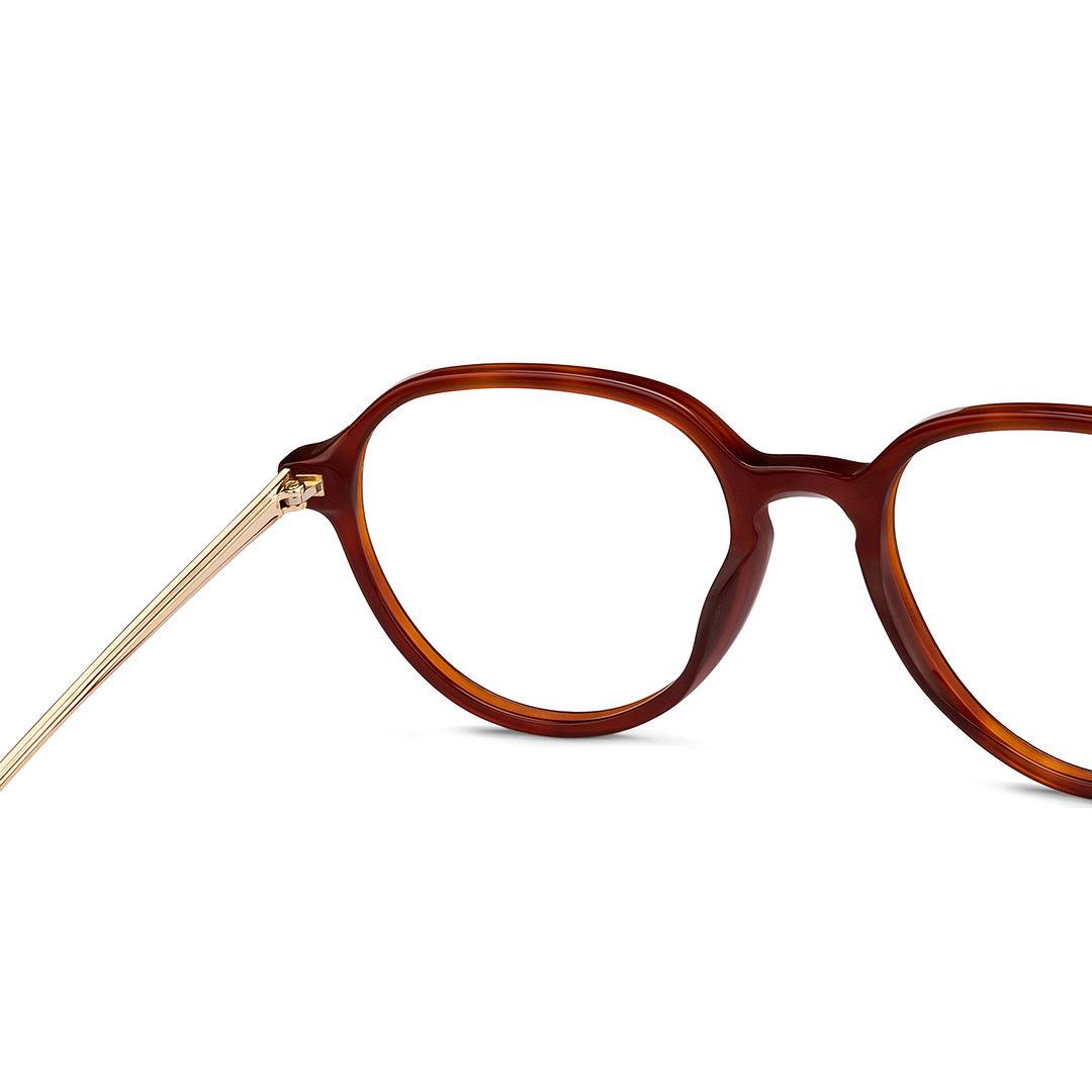 John Jacobs Online Tortoise Full Rim Round right side