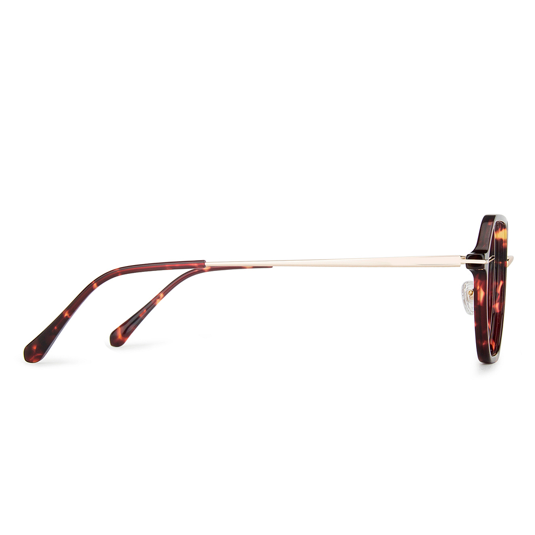 John Jacobs Online Tortoise Full Rim Hexagonal right side