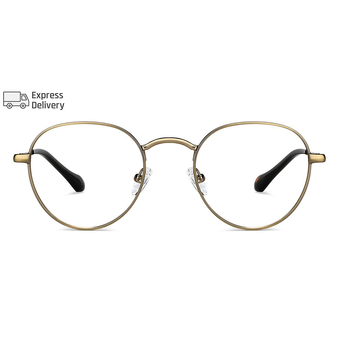 Lenskart BLU Screen Glasses Blue Block Zero Power Screen Glasses : Gold Black Full Rim Round Lenskart BLU LB E14131-C2 right side