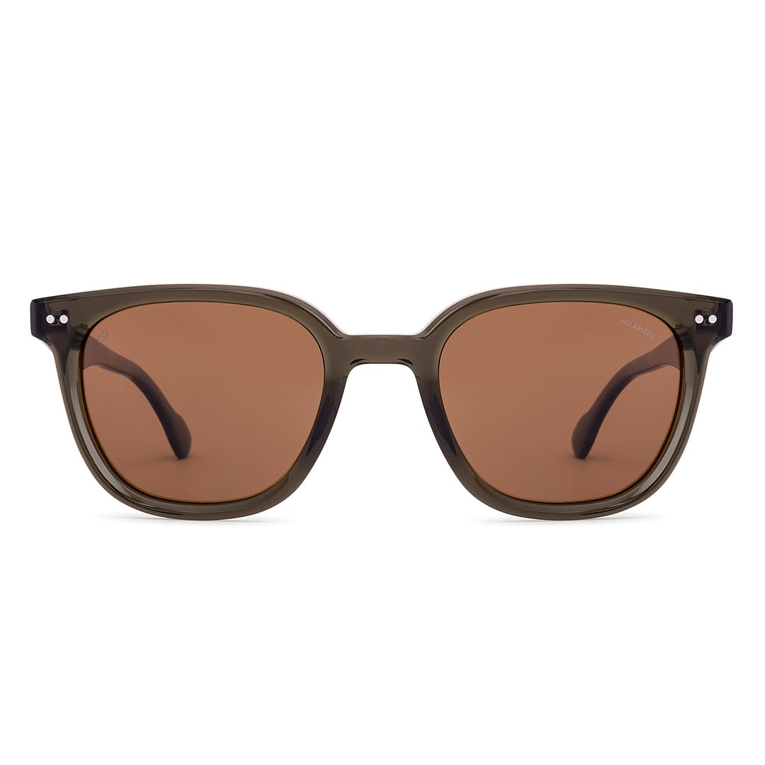 Brown Olive Green Olive Green Full Rim Square Lenskart Studio VC