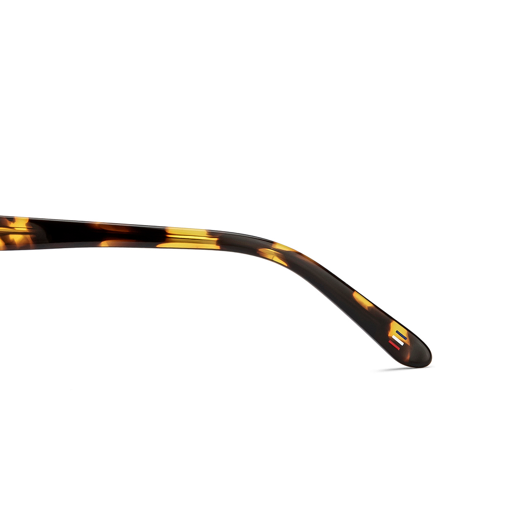Le Petit Lunetier Tortoise Full Rim Cat Eye right side