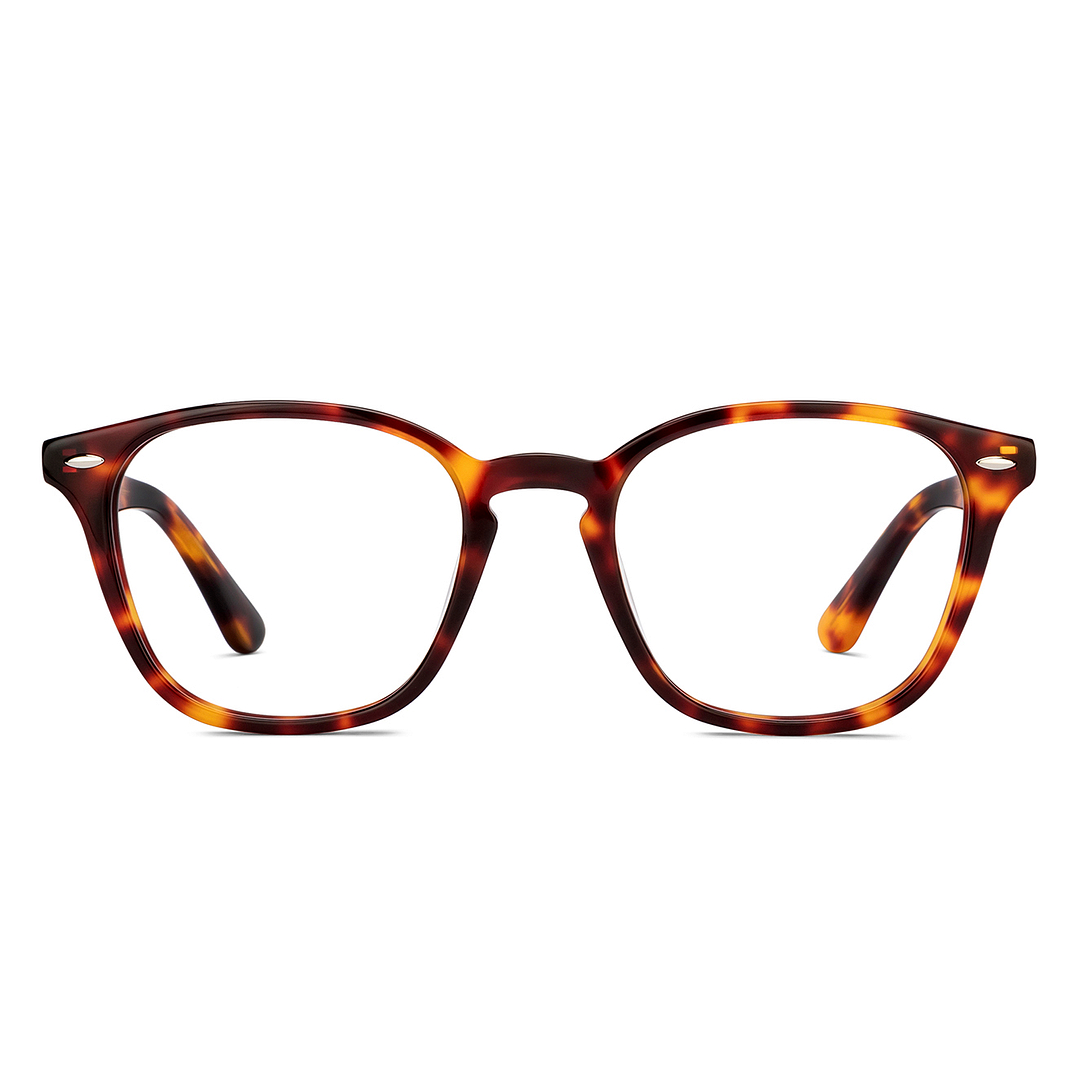 Le Petit Lunetier Tortoise Full Rim Round right side
