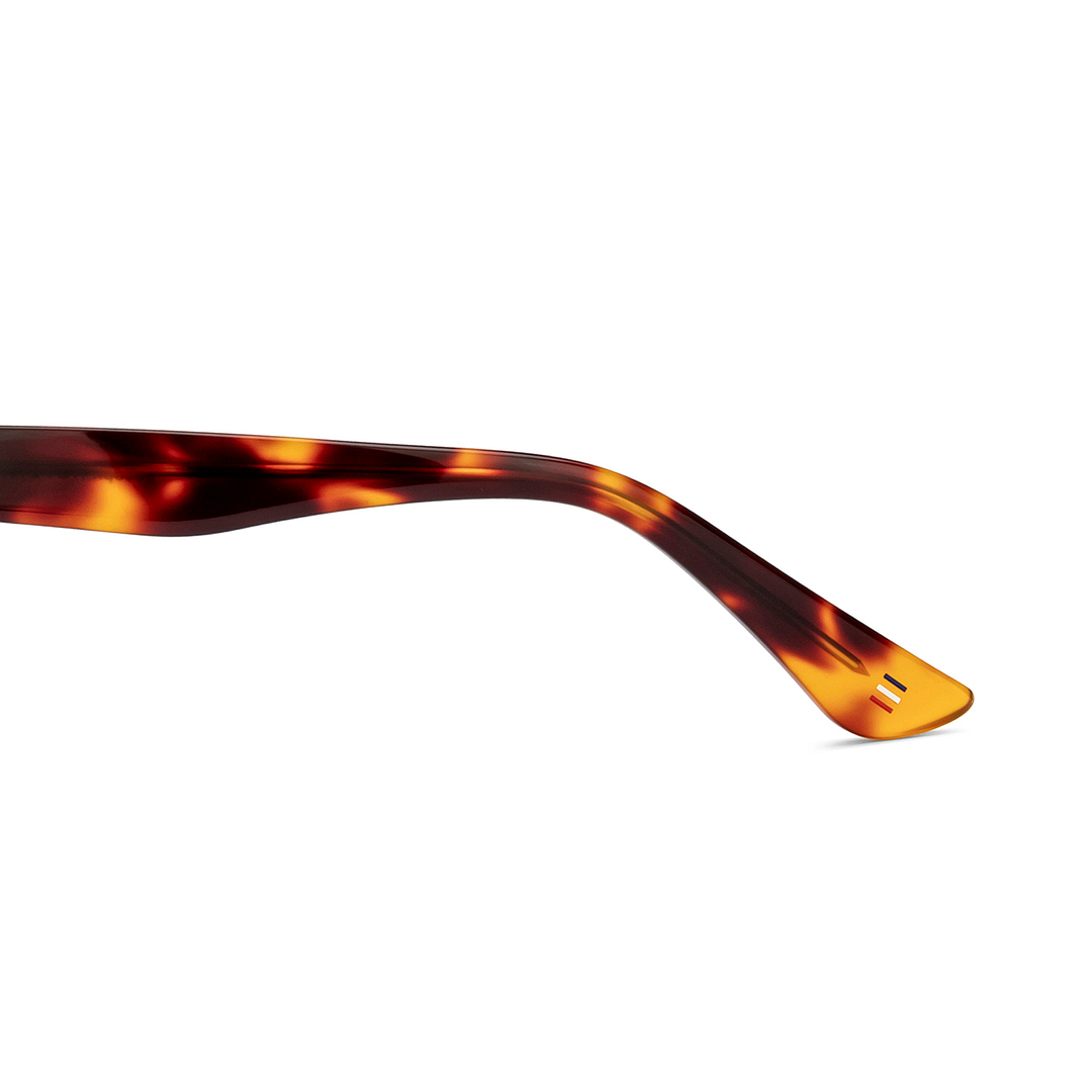 Le Petit Lunetier Tortoise Full Rim Round left side