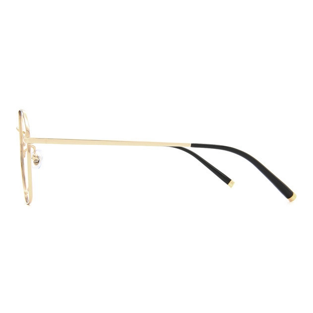 +NICHE Gold Full Rim Polygon left side