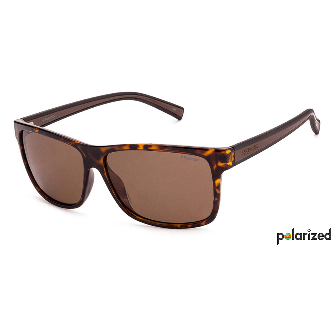 Polaroid Tortoise Full Rim Rectangle left side