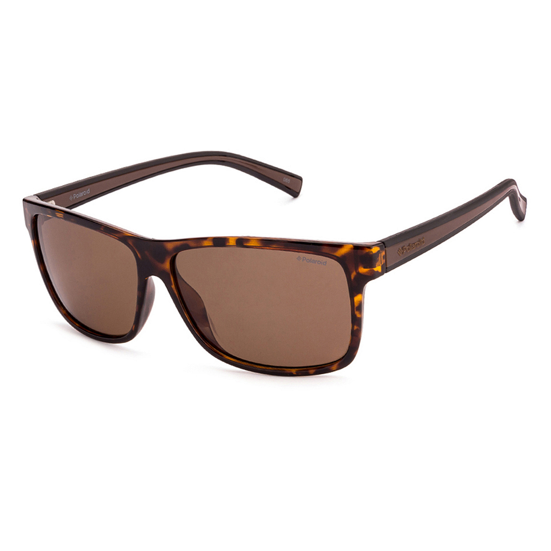 Polaroid Tortoise Full Rim Rectangle right side