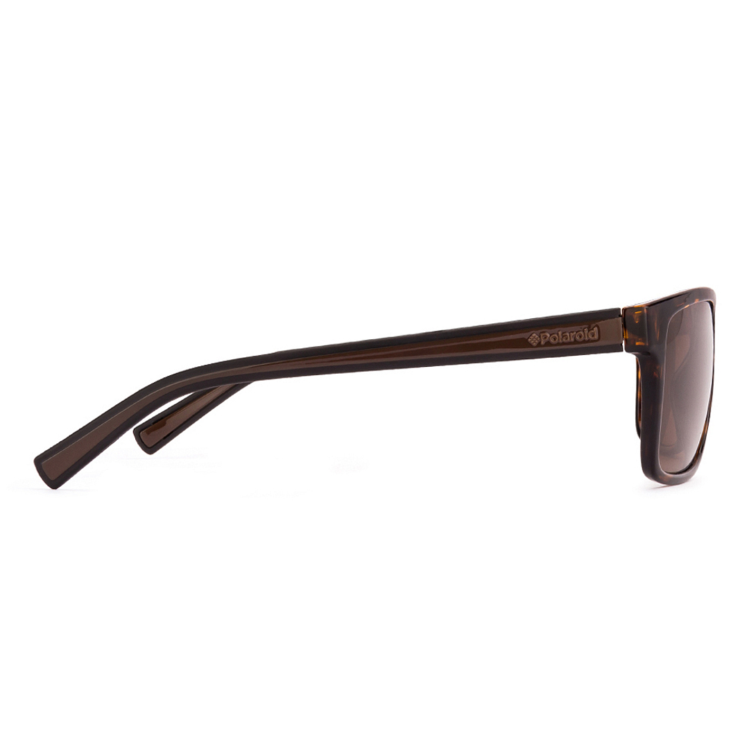Polaroid Tortoise Full Rim Rectangle left side