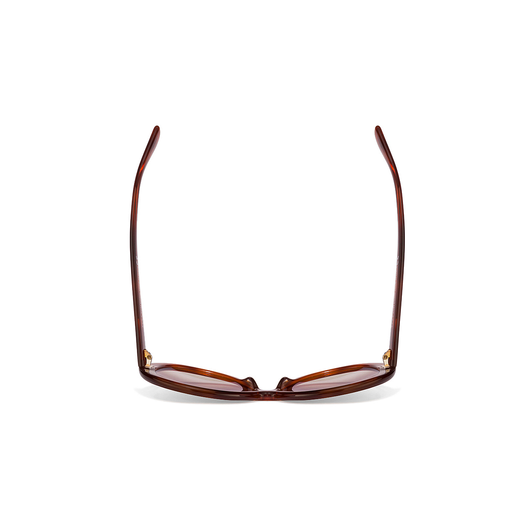 BRANDED Brown Transparent Full Rim Round left side