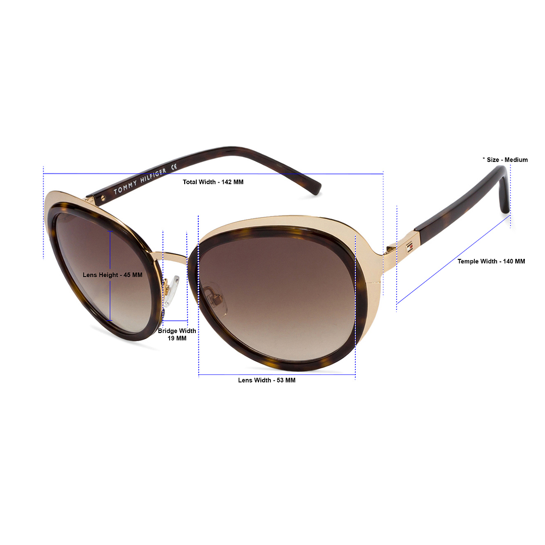 Buy Tommy Hilfiger TH2514 Medium Size-53 Gold Tortoise Brown  display picture 1