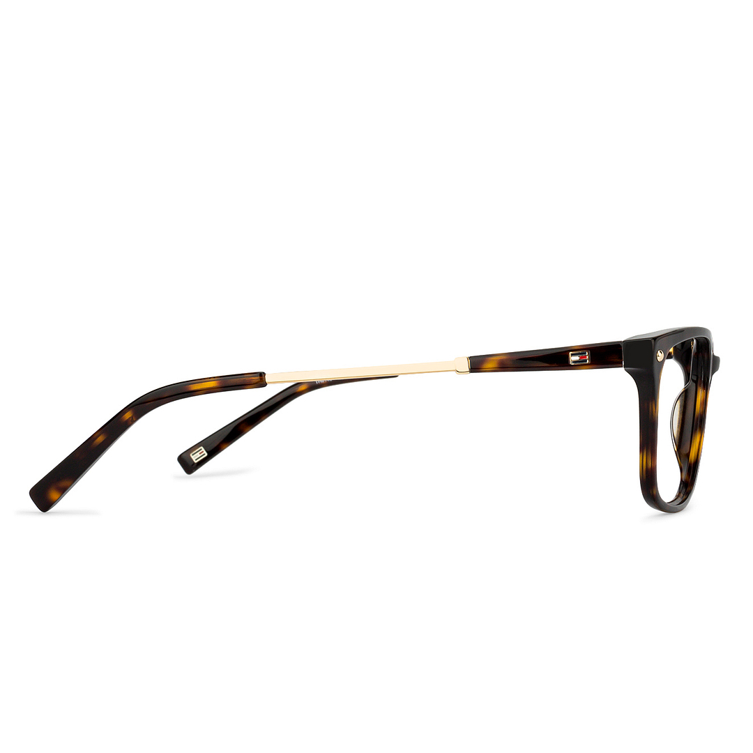Tommy Hilfiger TH6146 Tortoise Gold C2 Unisex Eyeglasses