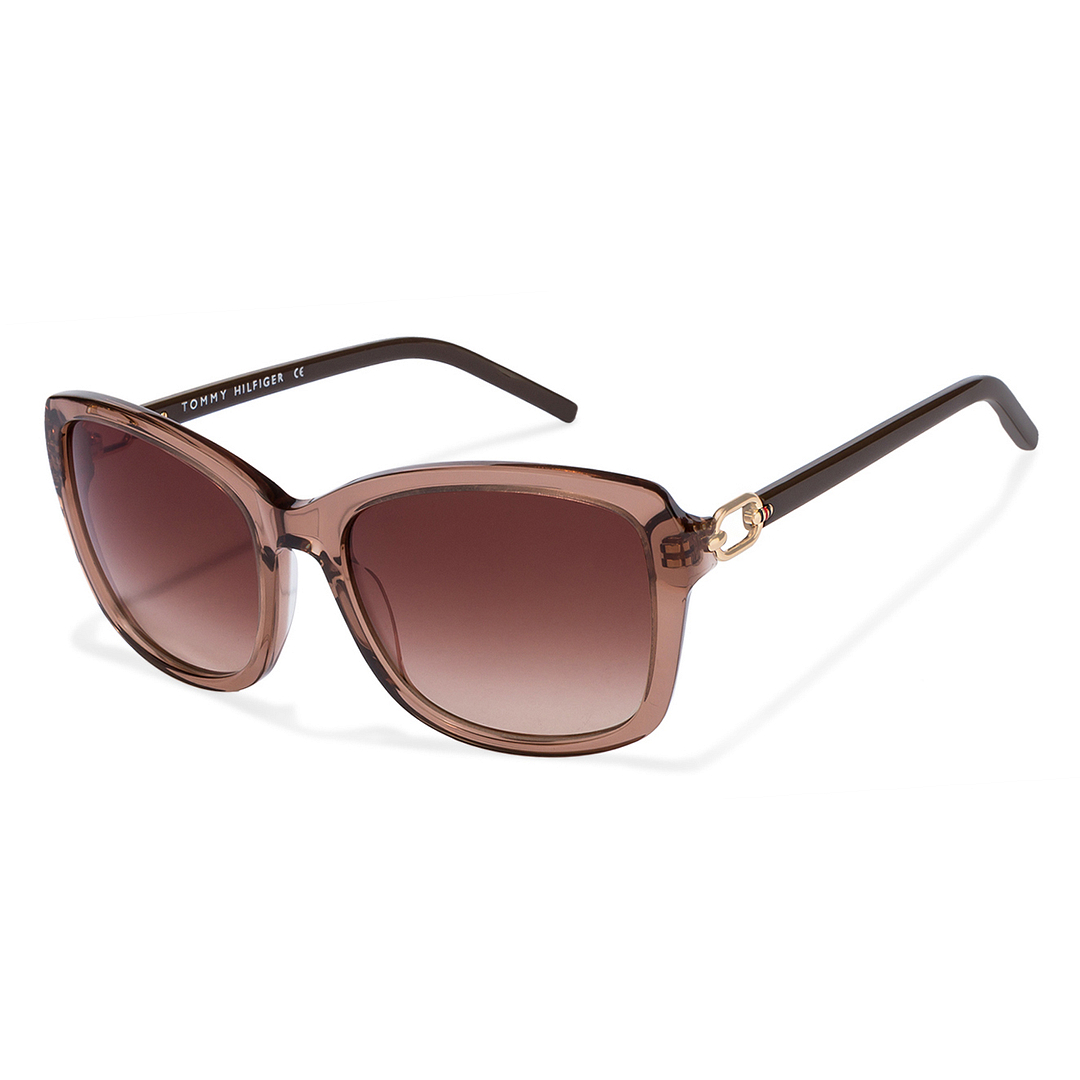タミー Buy Tommy Hilfiger TH7905 Large Size-56 Brown Transparent Brown