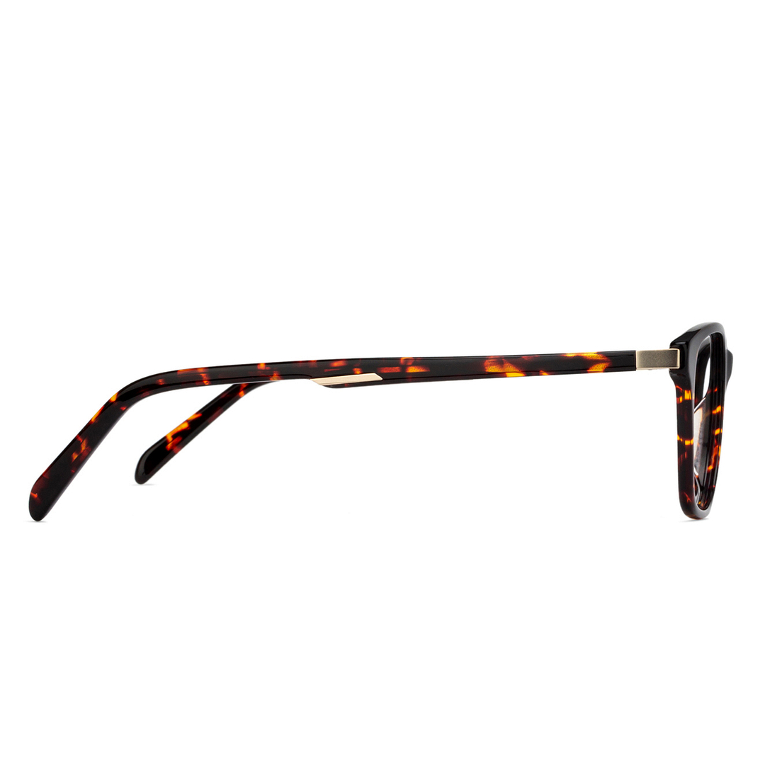 Vincent Chase Online Tortoise Full Rim Square right side