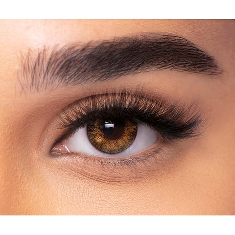 Alcon Freshlook Freshlook One Day Hazel 10 Lenses left side
