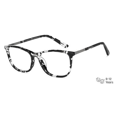 Hooper Black Tortoise Full Rim Wayfarer right side