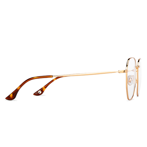 John Jacobs Online Gold Full Rim Hexagonal left side