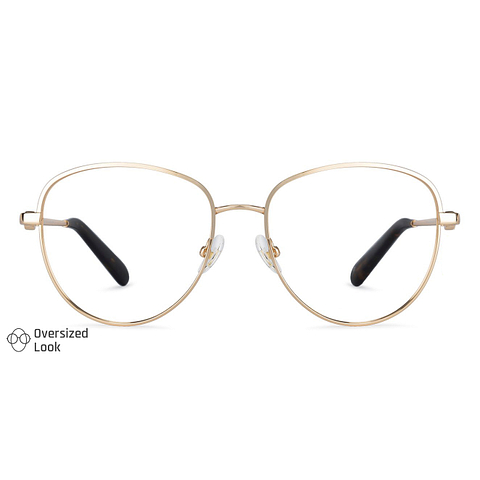 John Jacobs Online Gold Full Rim Aviator left side