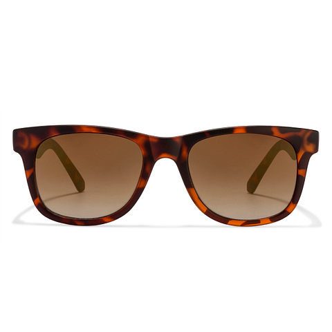 Buy Killer KL3018BFO DA Small Size:50 Tortoise Brown Mirror Unisex