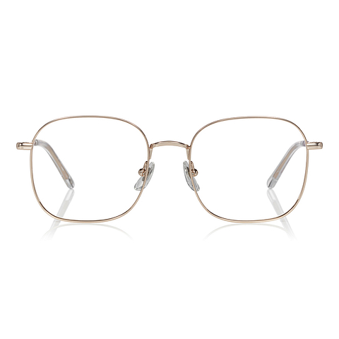 +NICHE Gold Full Rim Wellington left side