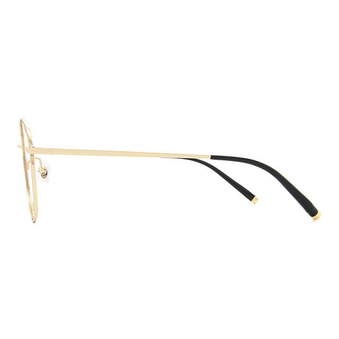 +NICHE Gold Full Rim Polygon left side