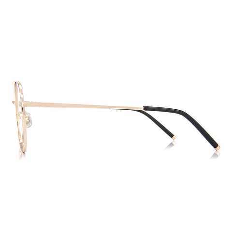 +NICHE Gold Full Rim Boston left side