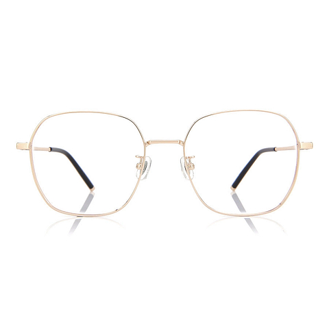+NICHE Gold Full Rim Wellington left side