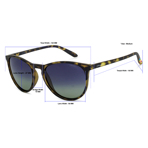 Buy Polaroid PLD6003 N Medium Size-54 Brown Tortoise Blue Green