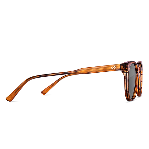 Vincent Chase Light Brown Full Rim Round left side