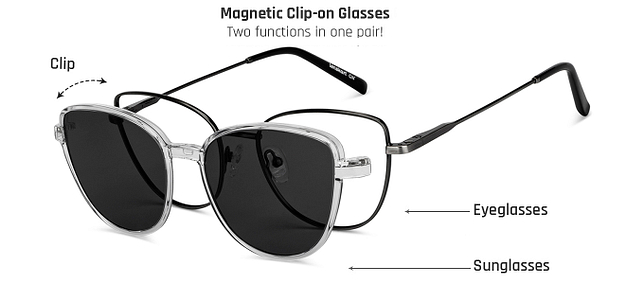 Eyeglasses with shades clearance