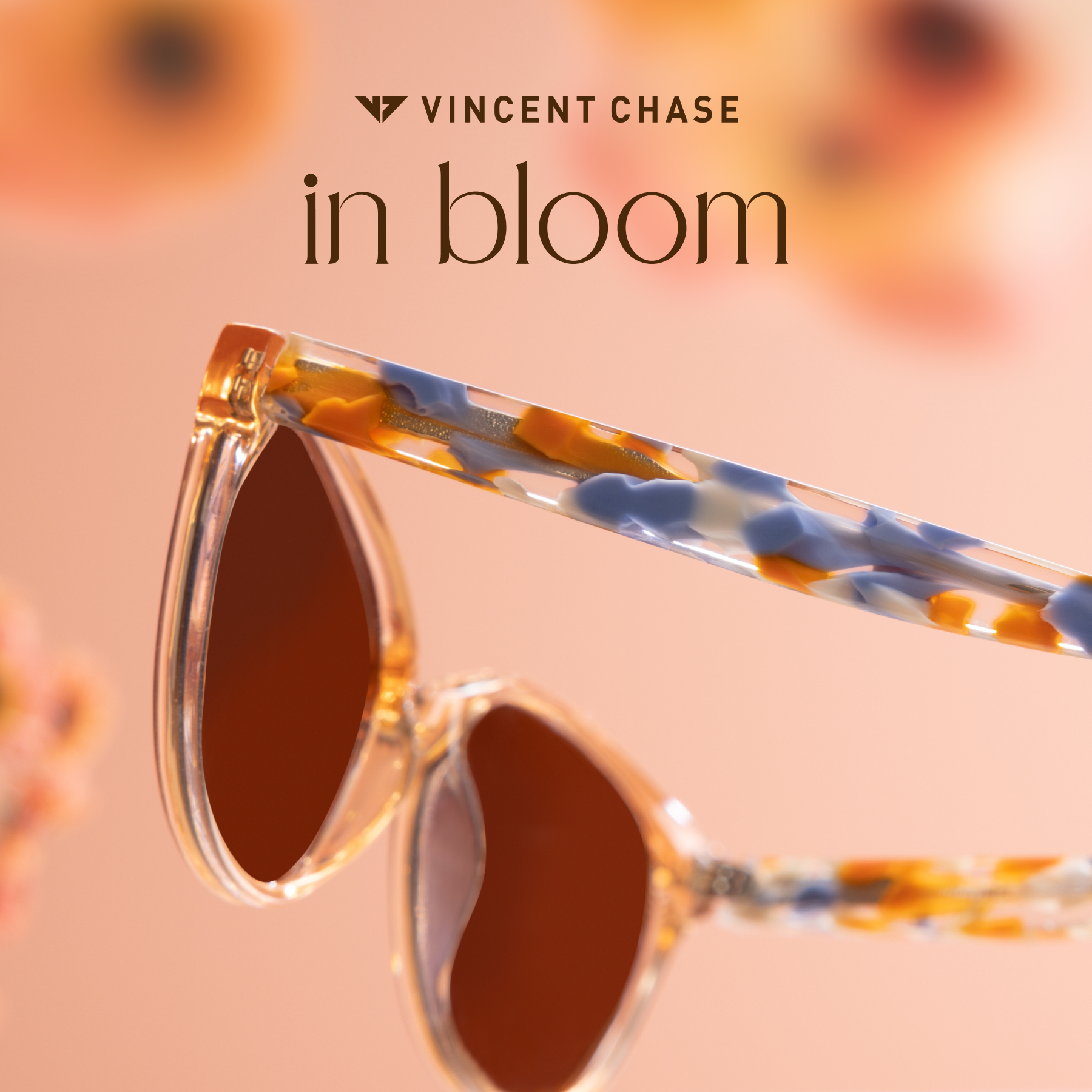 Buy Yellow Gold Full Rim Cat Eye Vincent Chase Polarized FLORAL