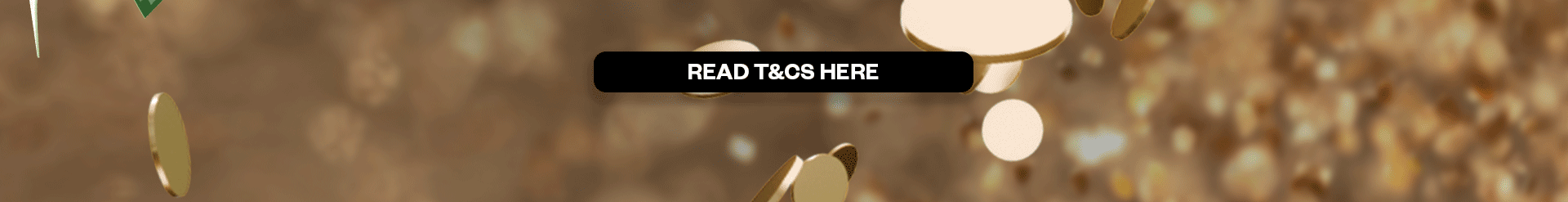 Terms and Conditions