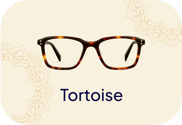 Tortoise